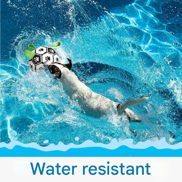 Fenntartható Kutyafoci Fogantyúkkal – TugBounce