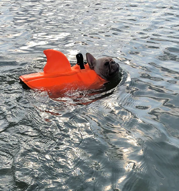 Kutyamentő Mellény - AquaPup