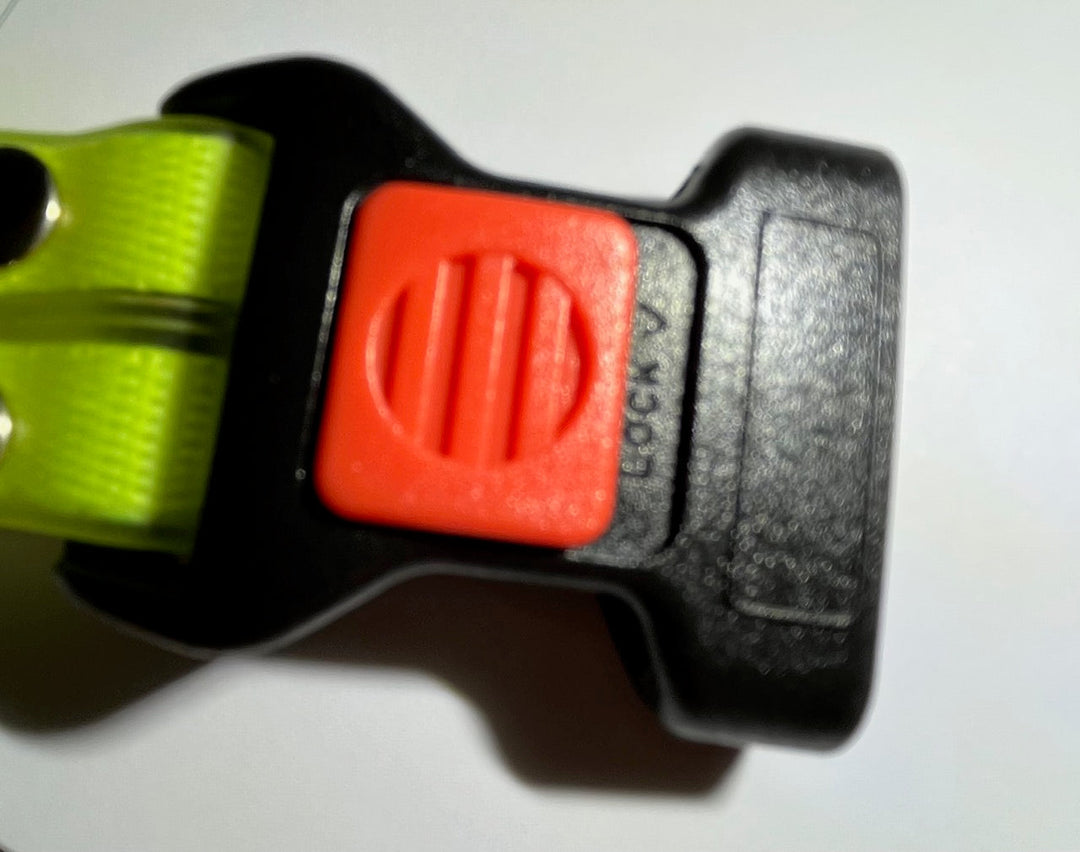 Világító LED Kutyanyakörv Pórázzal - NightBright