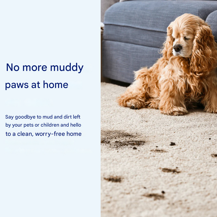 Szuper felszívó kutyaszőnyeg – PawMat