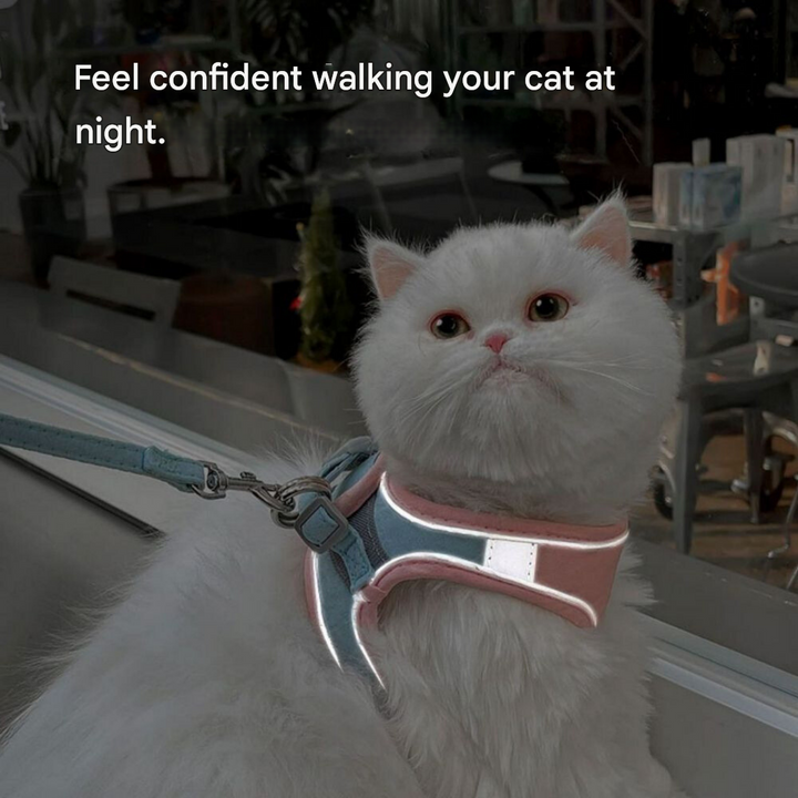 Macska jelmez - Oscar