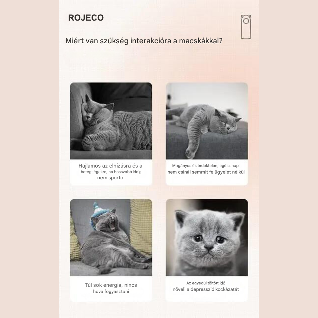 Interaktív lézer macskajáték - LaserPaw