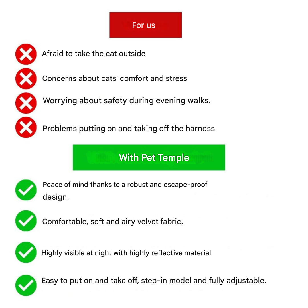 Macska jelmez - Oscar