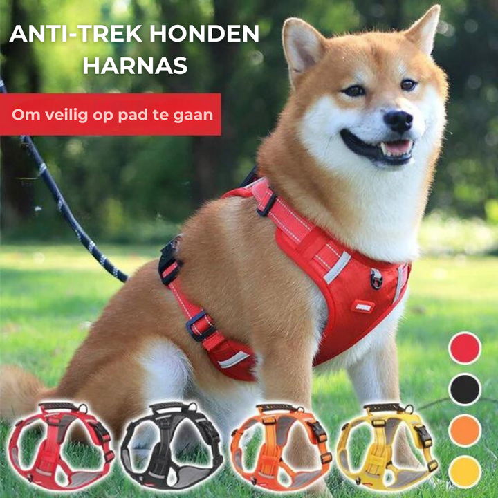 Stabil és Kényelmes Kutyaharness - ActivePup™