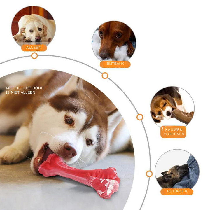 A Játékos Fogorvos Kutyák Számára - BuddyChew