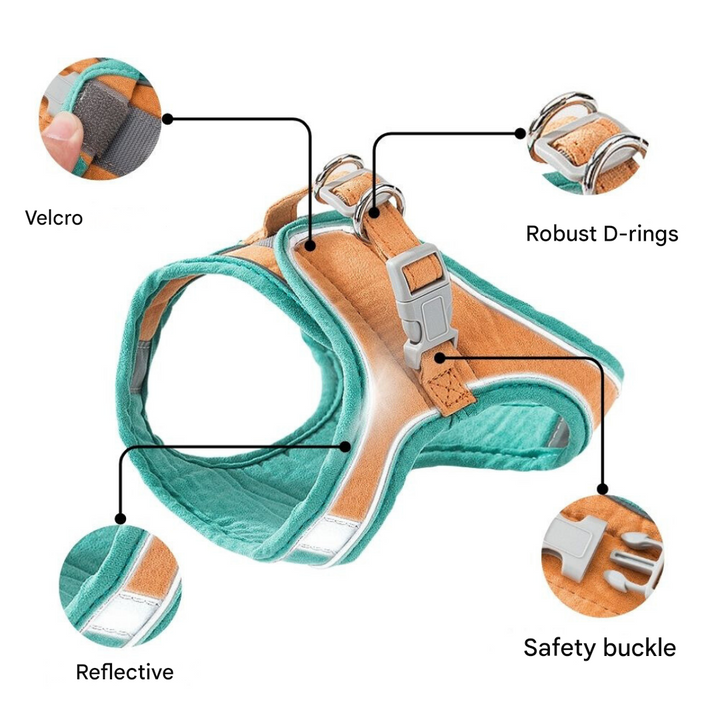 Macska jelmez - Oscar