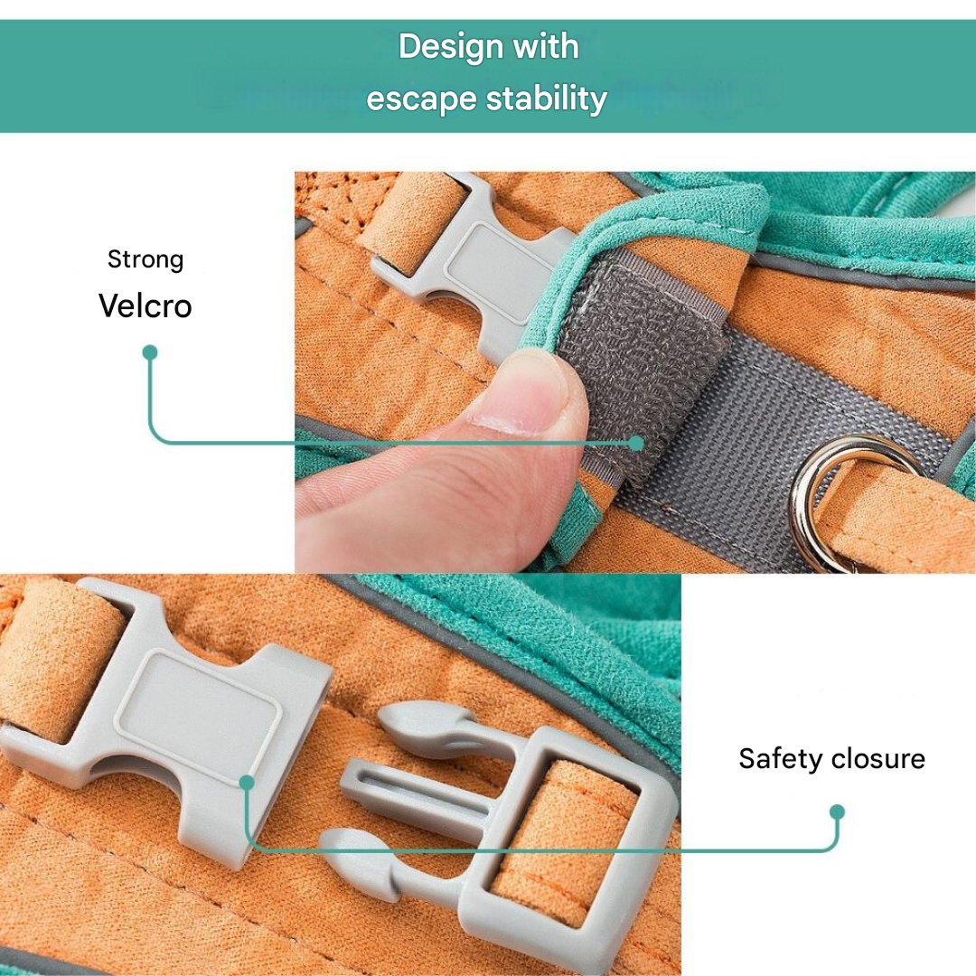 Macska jelmez - Oscar