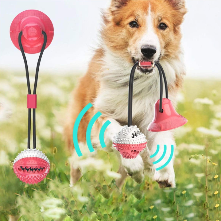 Masszív kutyaterelő kötél - PlayPaw