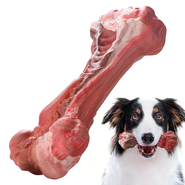 A Játékos Fogorvos Kutyák Számára - BuddyChew