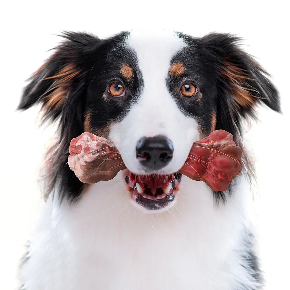 A Játékos Fogorvos Kutyák Számára - BuddyChew