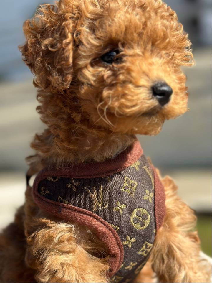 Kutyakötél és Póráz – PawLuxe