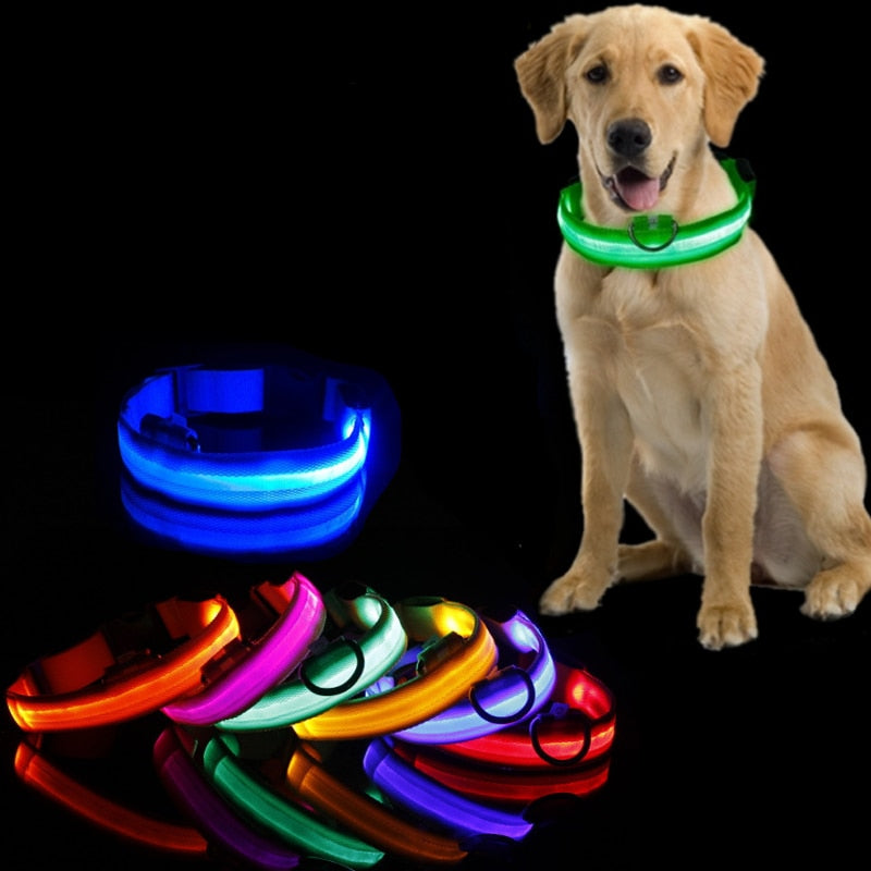 LED világítással ellátott kutyanyakörv - GlowCollar