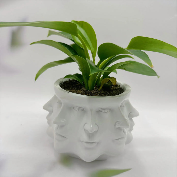 3D Arctartó Virágtartó - FaceBloom