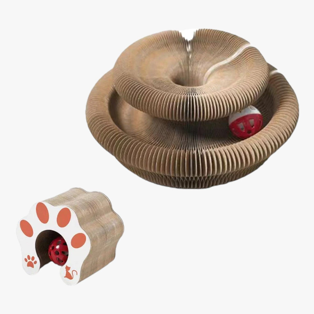 Súlyos lézer macska játék szivárvány fényben – Nola