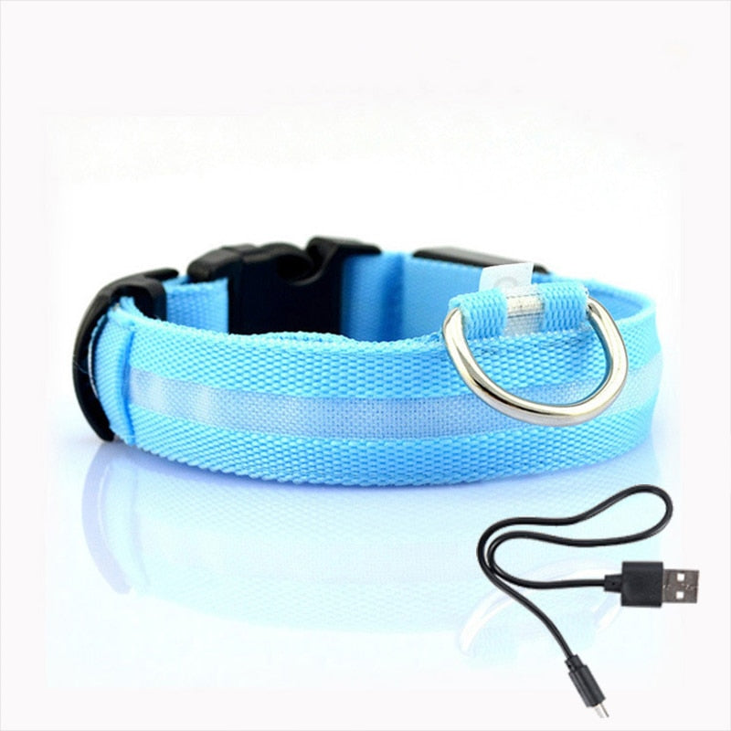 LED világítással ellátott kutyanyakörv - GlowCollar