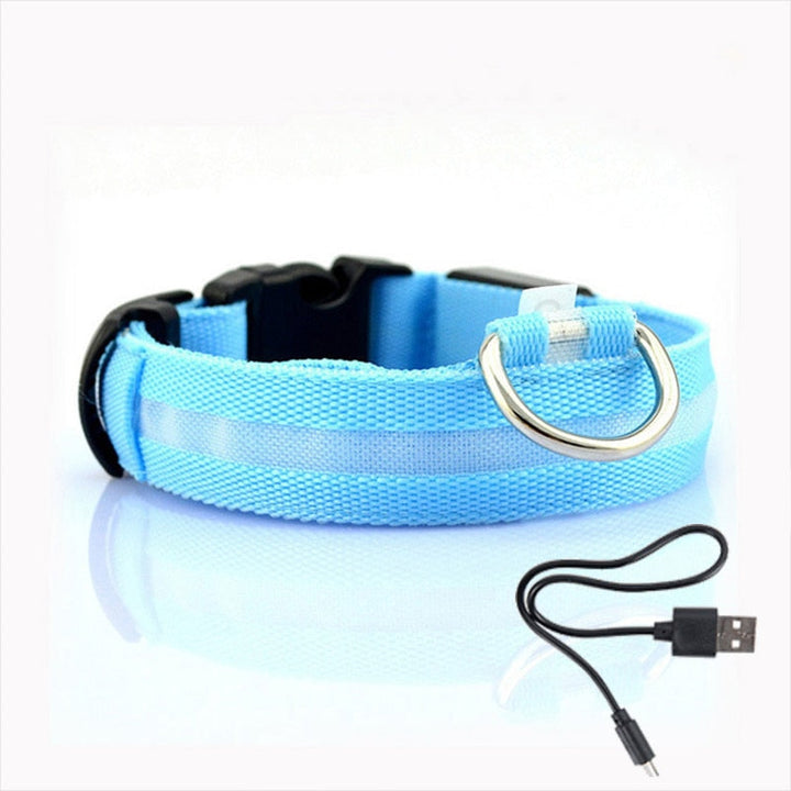 LED világítással ellátott kutyanyakörv - GlowCollar