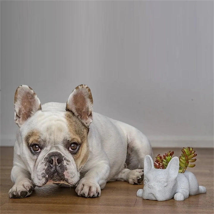 Kutyás Gyanta Zöldségültető - Buddy