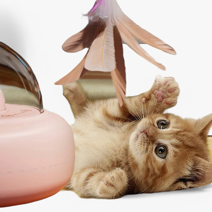 Súlyos lézer macska játék szivárvány fényben – Nola