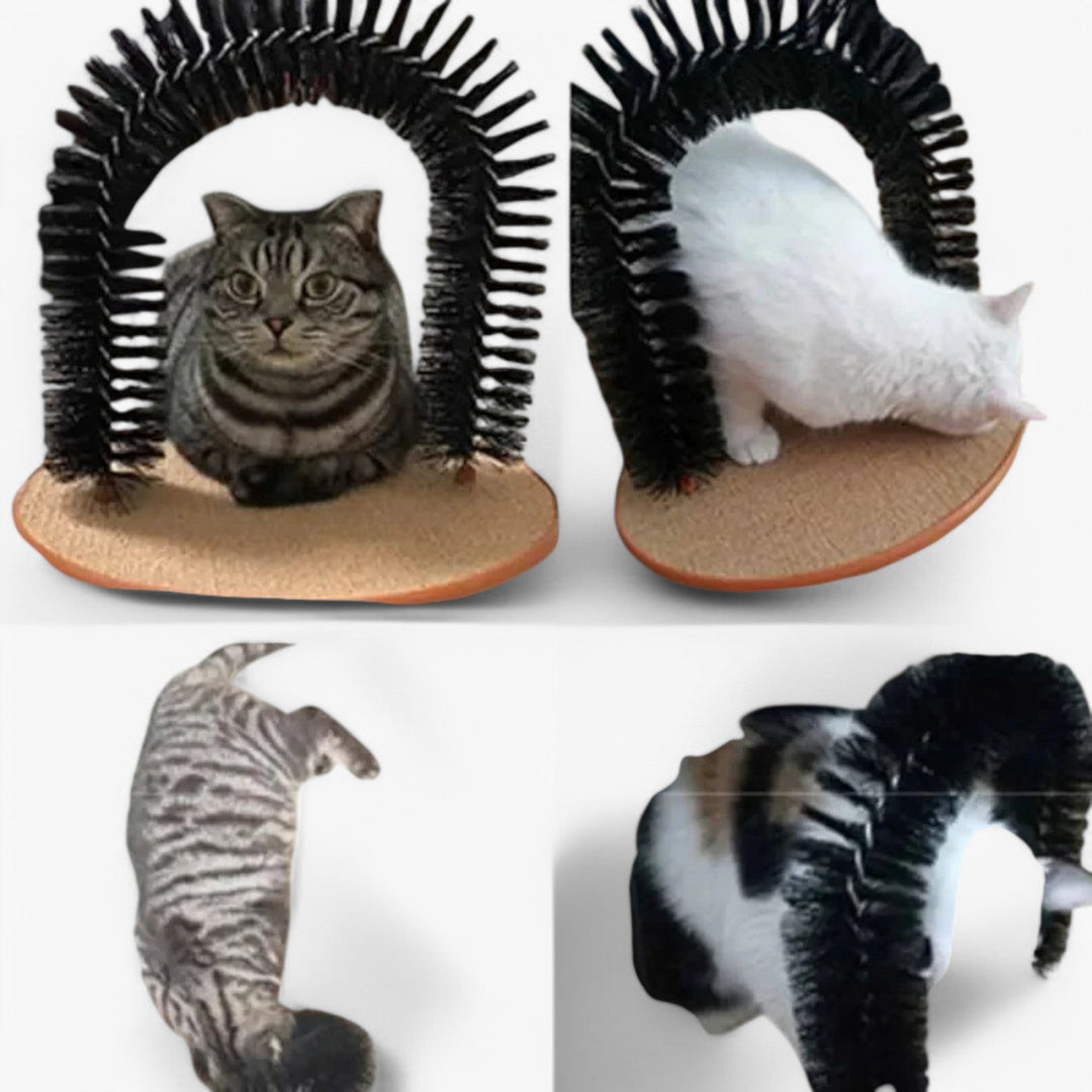 Öngondoskodás Rák- és Masszázshíd Macskáknak – Mira