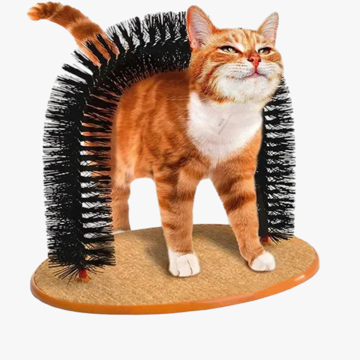 Öngondoskodás Rák- és Masszázshíd Macskáknak – Mira