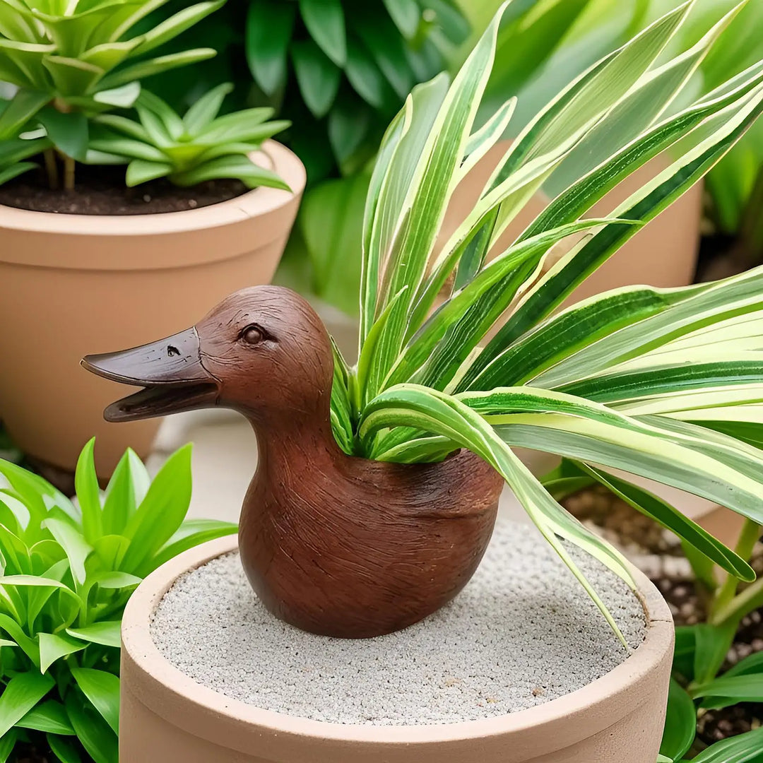 Kacsa szobor Virágcserép - QuackyPlanter