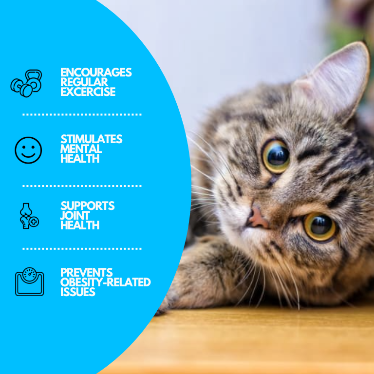 Interaktív Vízjáték-ösvény Macskák Számára - AquaPaws