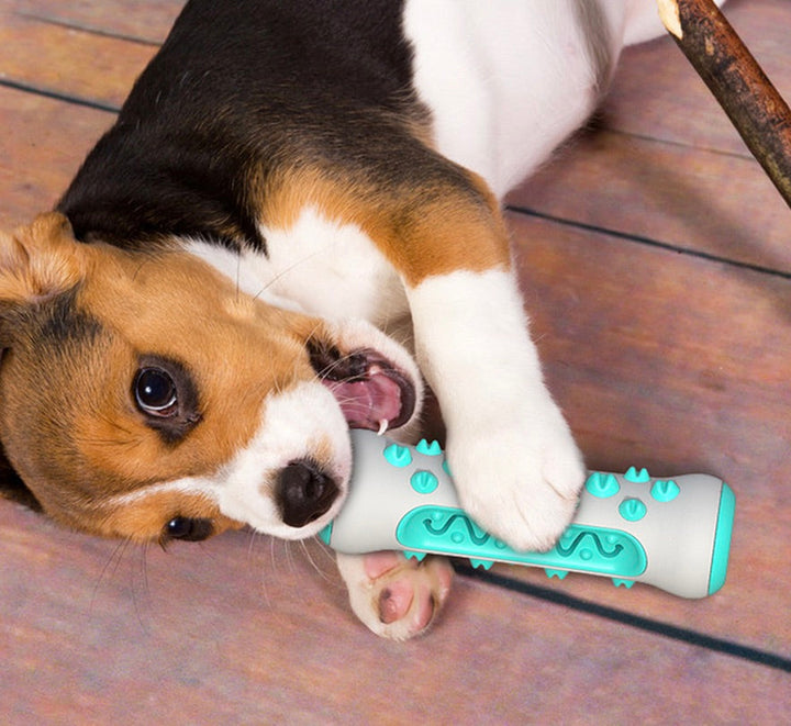 Fogkő eltávolító rágójáték kutyák számára – Chewly