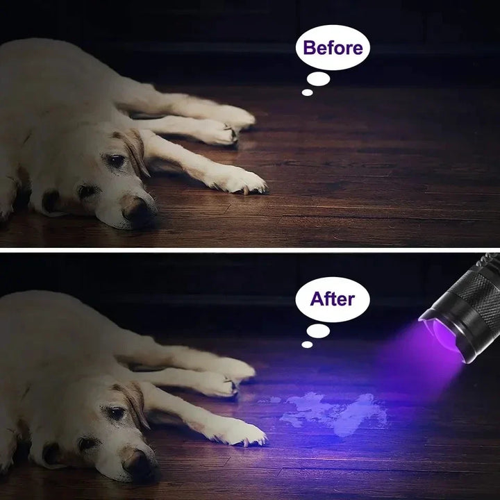 LED UV ZSEBLÁMPA - ULTRAVIOLÁT INSPEKCIÓS LÁMPA HÁZI ÁLLAT VIZELET PONTOK ÉS FOLT DETEKCIÓJÁHOZ