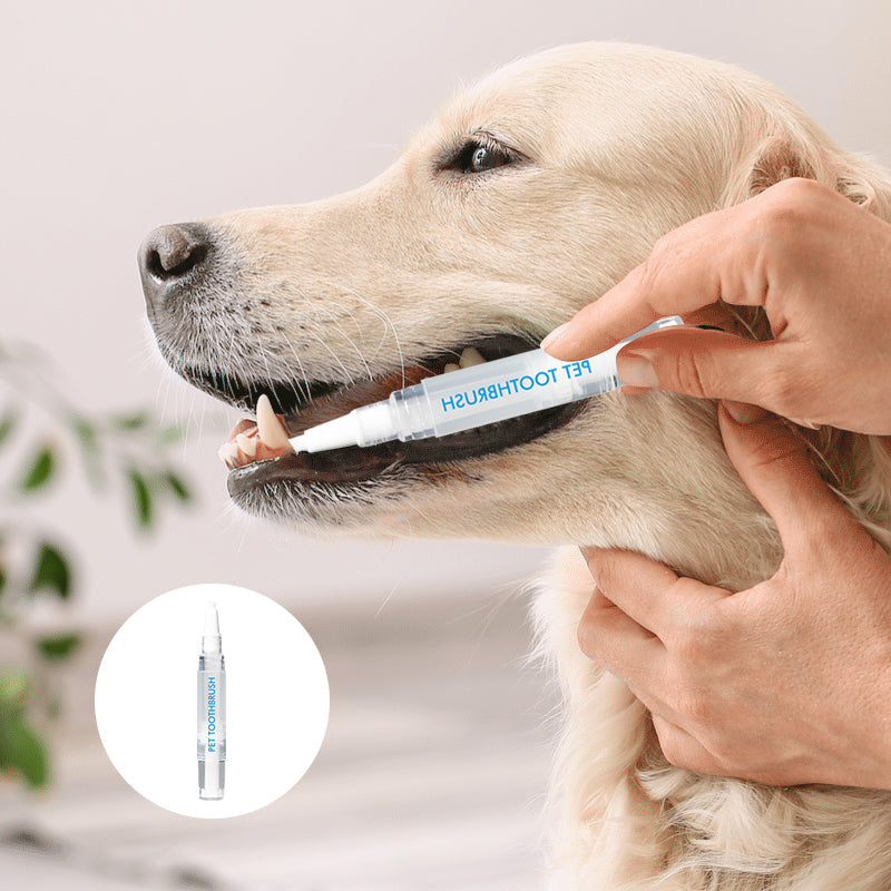 Háziállat Fogkefe Toll - PetSmile
