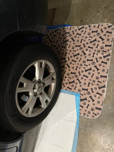 Vízálló házikedvenc szőnyeg - PetPaws Comfortmat