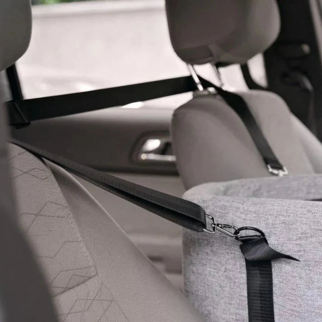 Carpool ülés háziállatoknak - PawVoyage