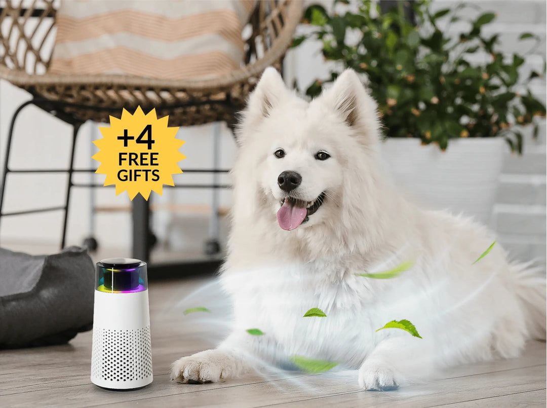 Állatok Illat Párásító - PetFresh