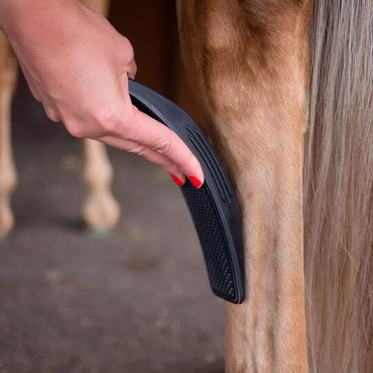 6-In-1 Lógszőrös ápoló kefe - EquiGlow