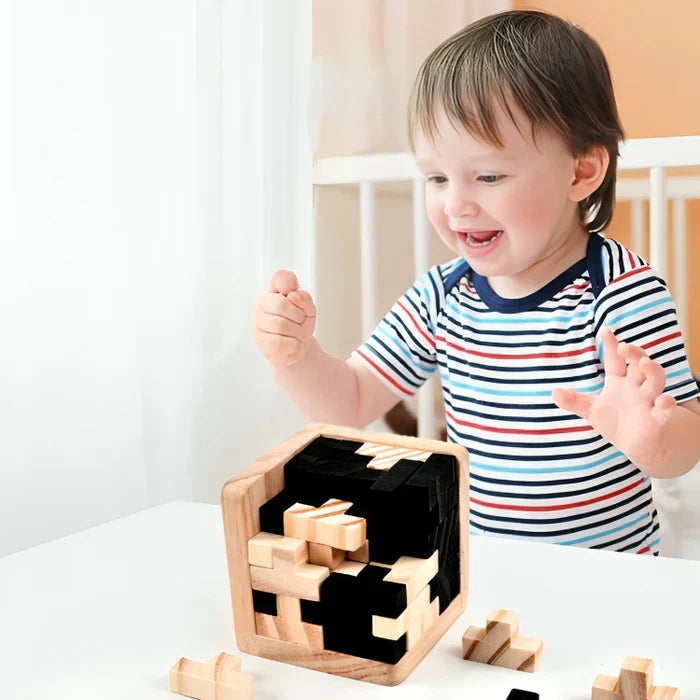 3D Fa Wooden Brain Teaser - PuzzleMaster