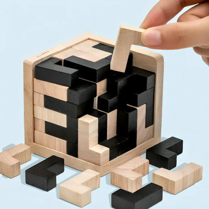 3D Fa Wooden Brain Teaser - PuzzleMaster