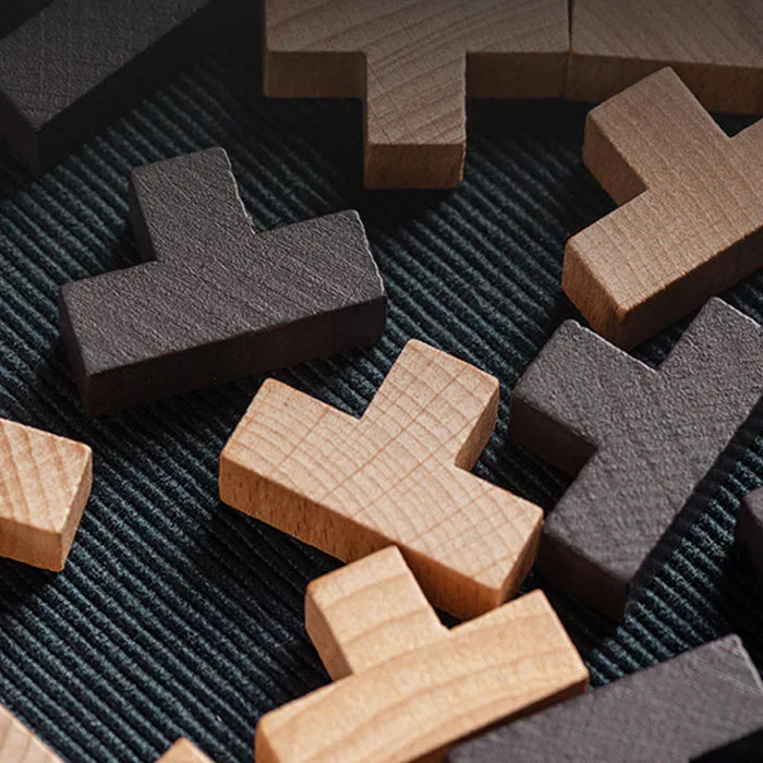 3D Fa Wooden Brain Teaser - PuzzleMaster
