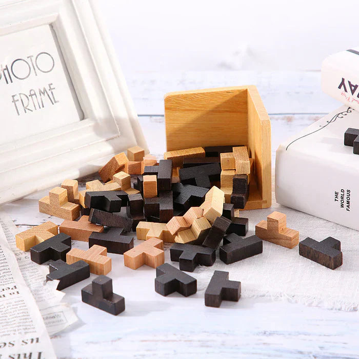 3D Fa Wooden Brain Teaser - PuzzleMaster