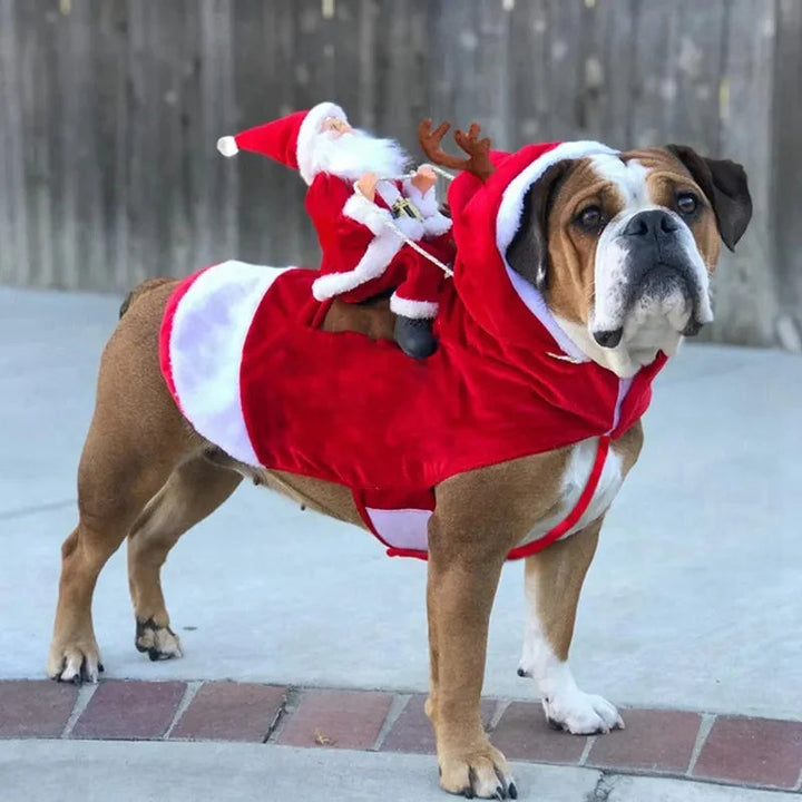 Karácsonyi jelmez kutyák számára - SantaPaws