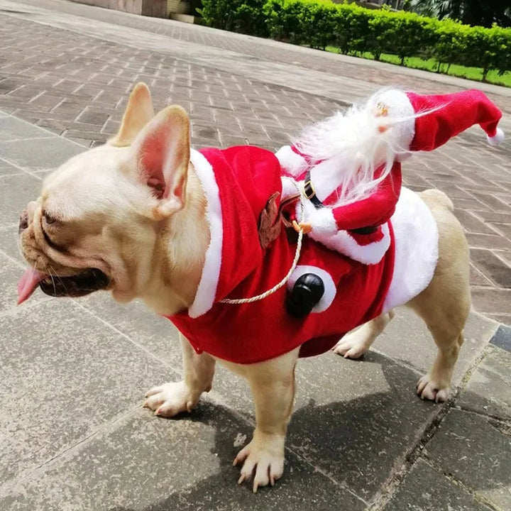 Karácsonyi jelmez kutyák számára - SantaPaws