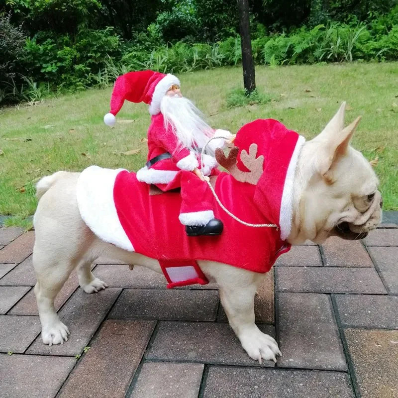 Karácsonyi jelmez kutyák számára - SantaPaws