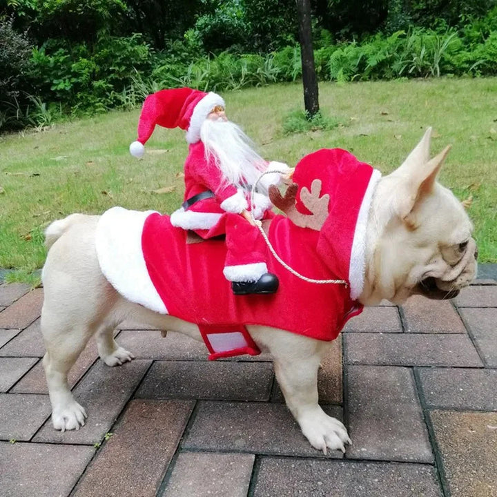 Karácsonyi jelmez kutyák számára - SantaPaws