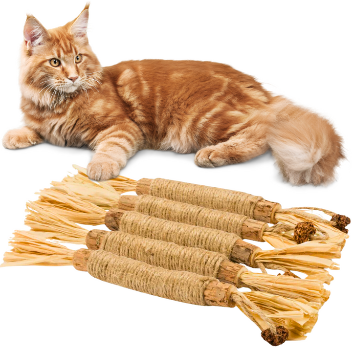 Interaktív Rágcsálók macskáknak - ChewPlay