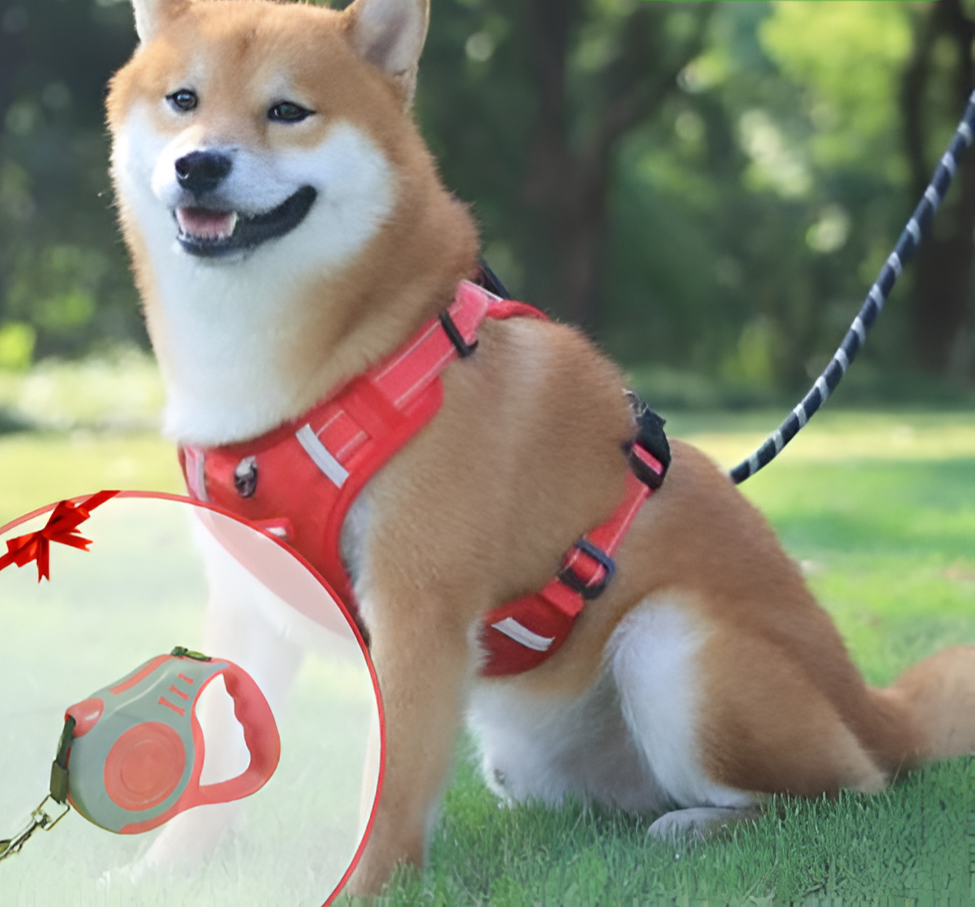 Anti-Trek Kutyaruha - FlexiFit