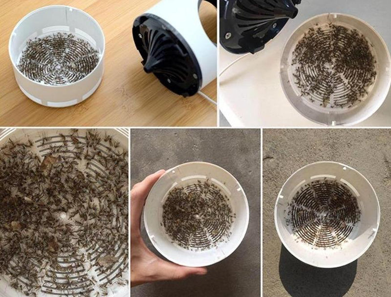 Elektromos Szúnyogirtó - Zyntra