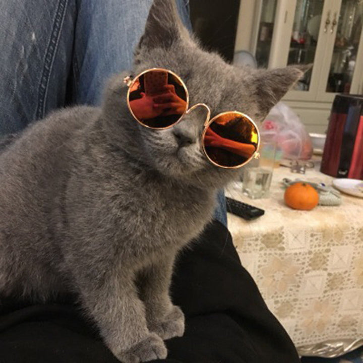 Trendi Macska Szemüveg - KittyShades
