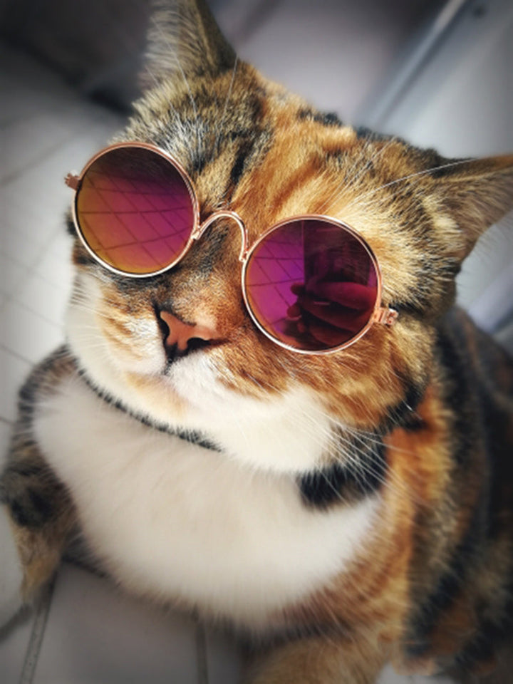 Trendi Macska Szemüveg - KittyShades