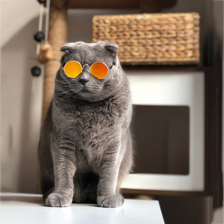Trendi Macska Szemüveg - KittyShades