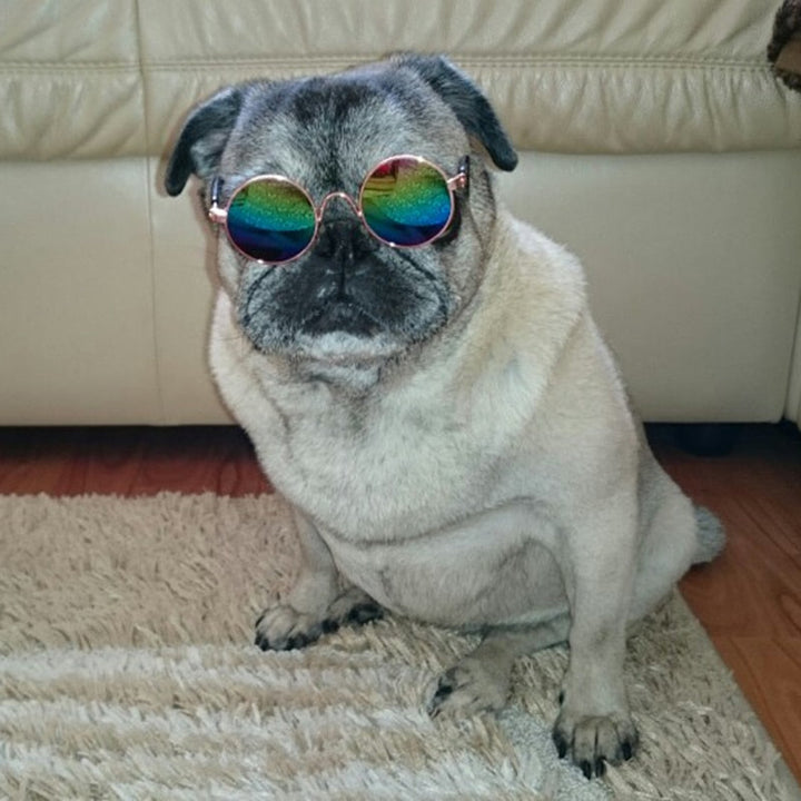 Trendi Macska Szemüveg - KittyShades