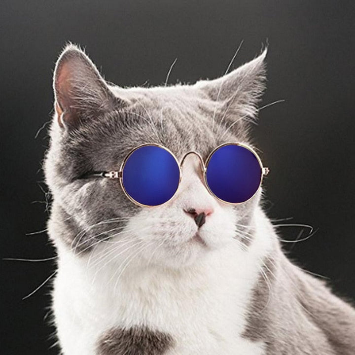 Trendi Macska Szemüveg - KittyShades