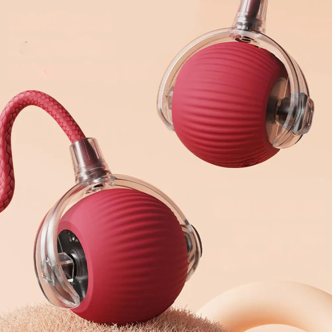 Interaktív Zsákmánylabda Macskáknak - PouncePal